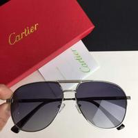 Cartier卡地亚 偏光太阳镜