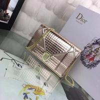 Christian Dior 迪奥 藤格纹系列